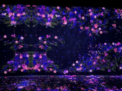 五颜六色的光影花