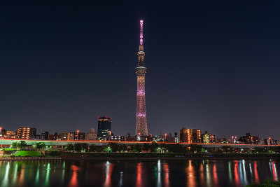 住田公园的东京天空树塔
