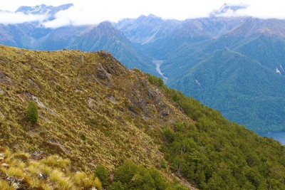 峡湾国家公园风景秀丽的森林覆盖的山地景观