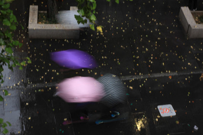 秋雨秋伞