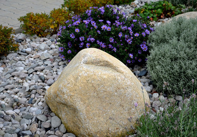 ornamental flower bed with perennial pine and gray