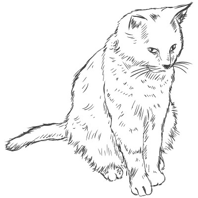 向量素描的猫
