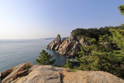 索乔海岸的岩石和树木
