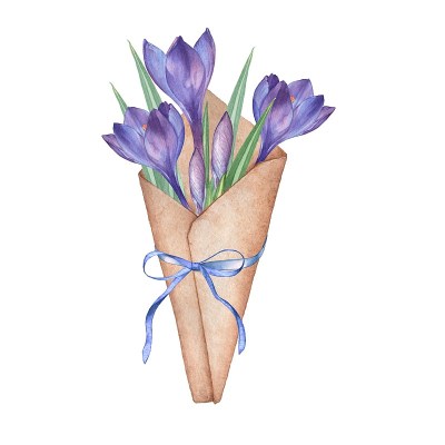 番红花。水彩花卉的花束。