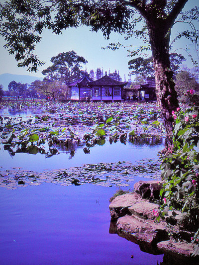 西湖，屈原花园