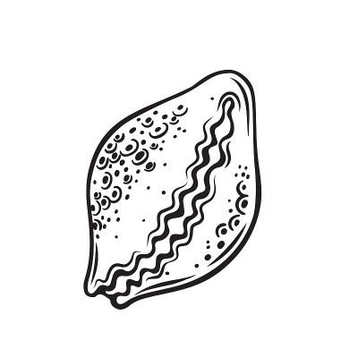手绘海贝