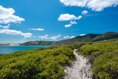 舌点徒步通过绿色的山附近的海岸线在威尔逊海角国家公园，澳大利亚