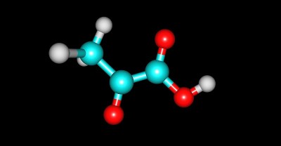 丙酮酸的分子结构孤立在黑色上