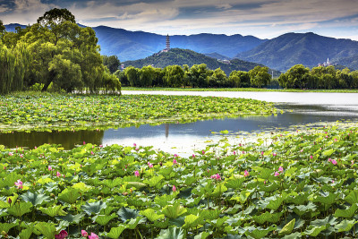 中国北京，岳峰塔，荷花花园，颐和园