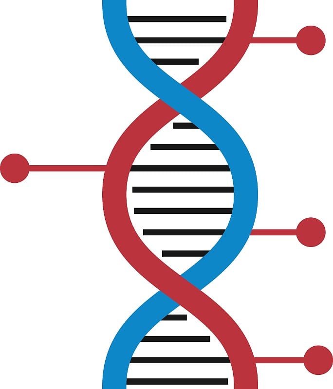 基因工程概念设计，DNA制作矢量图标，生物工程和生物技术符号在白色背景