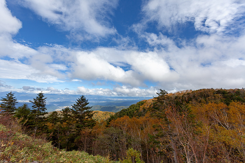 日本的秋景