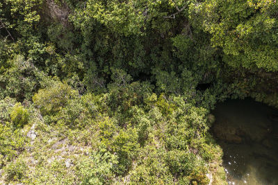 veadeiros的Chapada dos veadeiros