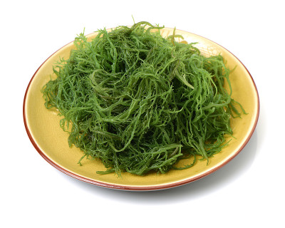 新鲜的绿色海藻