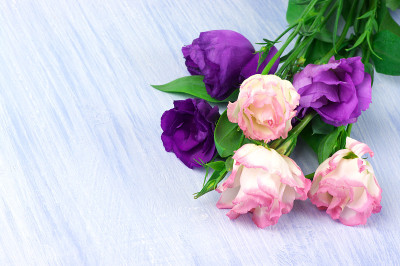 Eustoma花