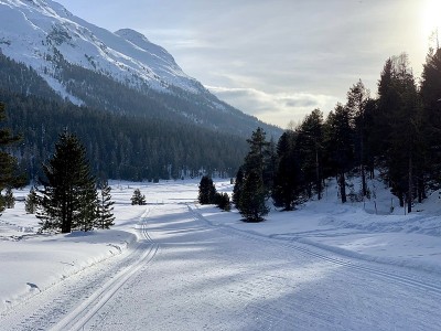 庞特雷斯纳和圣莫里茨之间的越野滑雪道