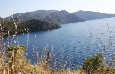 费蒂耶海
