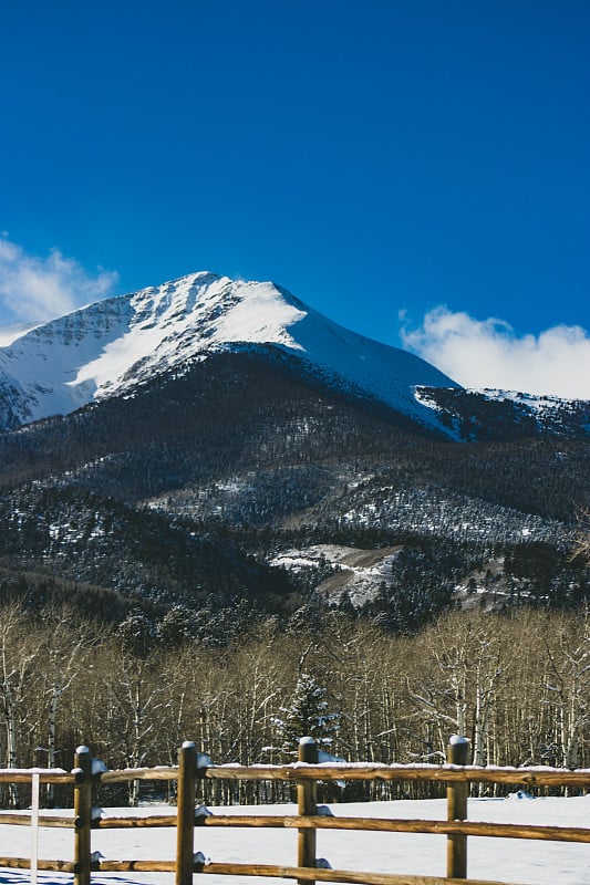 基督山的雪血