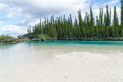 新喀里多尼亚松树岛奥罗湾天然游泳池的美丽海景