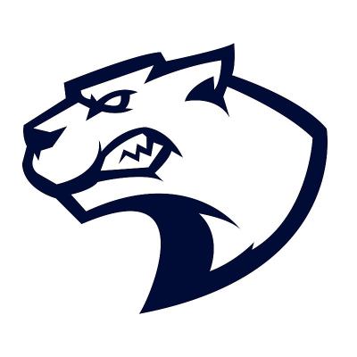 猎豹吉祥物标志