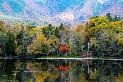 知子五湖(知子五湖)秋叶，知子，北海道，日本