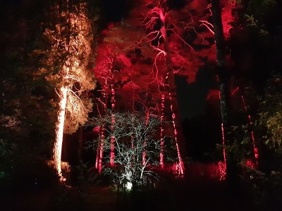 2018年圣诞节魔法