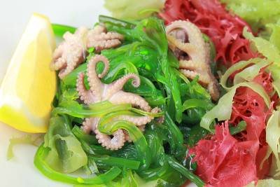kaiso与章鱼