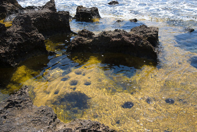 海岸上充满海水的石头坑