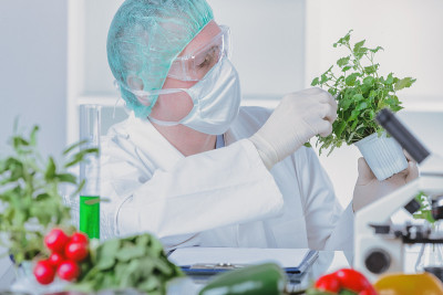 转基因植物研究员