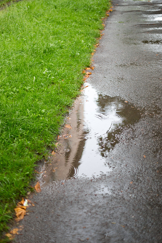 夏雨确实在潮湿的柏油路上形成了水坑。看到潮湿的沥青、水坑和被雨水冲刷过的新鲜绿草。