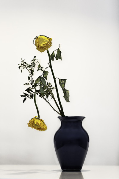 花瓶里的枯花
