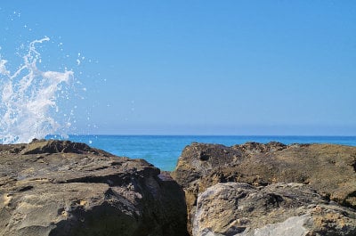 海水的自然萌芽
