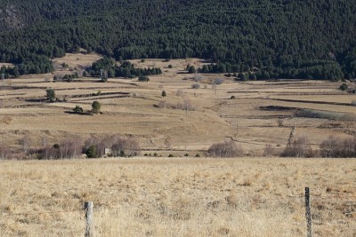 草地在比利牛斯山