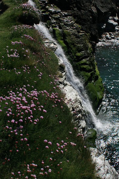Tintagel,康沃尔郡