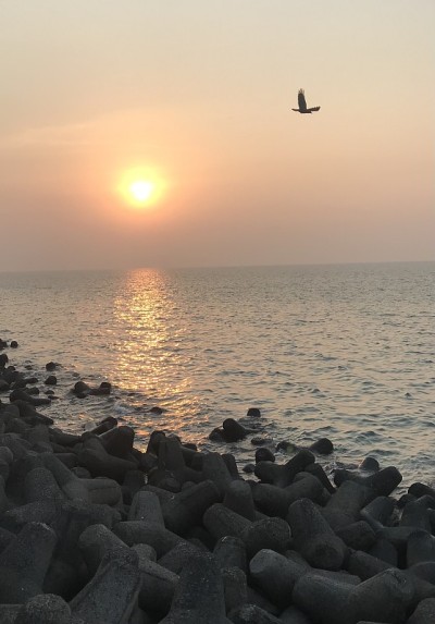 在海上日落