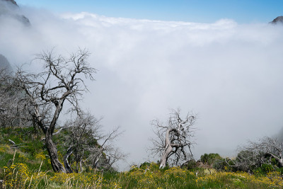 徒步旅行Pico do Arierio, Pico Ruivo，马德拉，葡萄牙