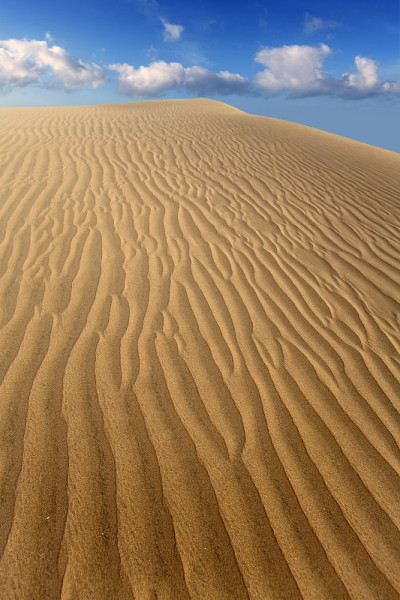 Maspalomas Gran Canaria的沙漠沙丘