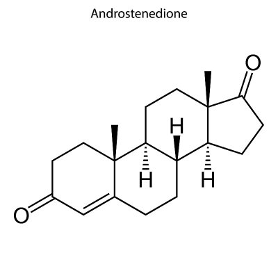 骨架分子式类固醇分子。