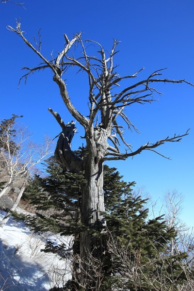 2010年冬季雪拉山，韩国。