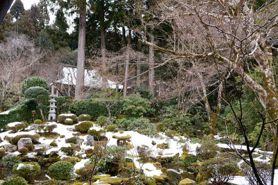 禅宗寺青苔花园，京都