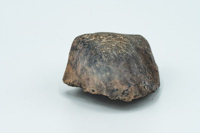 Chondrite Meteorite isolated, a piece of rock form
