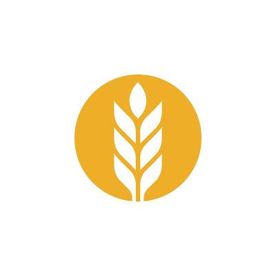 农业小麦模板