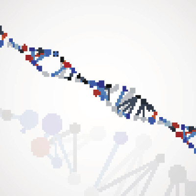 抽象DNA，未来分子