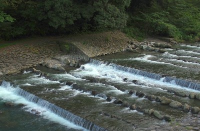 水在箱根的河里流动。