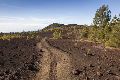 Tenerife