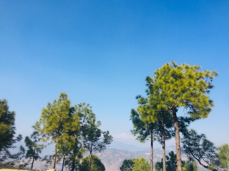山松抽象的背景