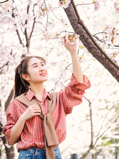 户外肖像美丽的年轻的中国女孩在春天的花园樱花树早午餐微笑，美丽，夏天，情感，表达和人们的概念。