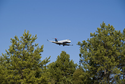 AirplaneThrough树