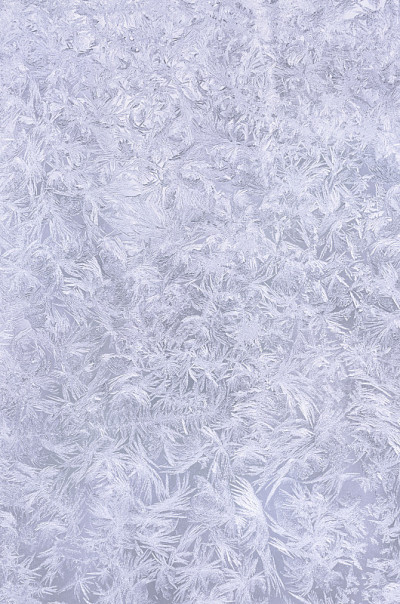 真正的雪花背景