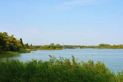 美丽的萨马拉河风景如画的陡峭的河岸和海岸，树木，绿色植物和丰富的天空。明亮而令人难忘的自然，舍普琴科