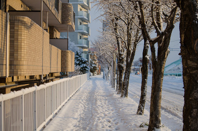 冬天的雪路